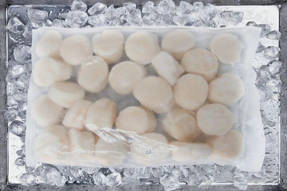 гребешок отбеленный. гребешки вареные. морские гребешки заморозка. гребешок мурманский замороженный. морской гребешок отбеленный.