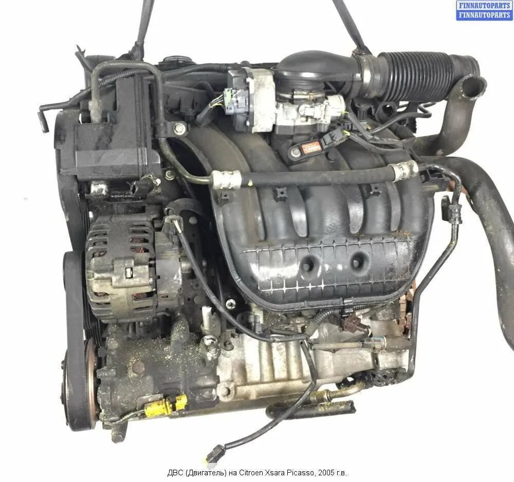 Двигатель Citroen Xsara Picasso 1.8. Двигатель 6fz Citroen. Citroen Xsara Picasso 1.6 двигатель. Двигатель Peugeot 6fz.