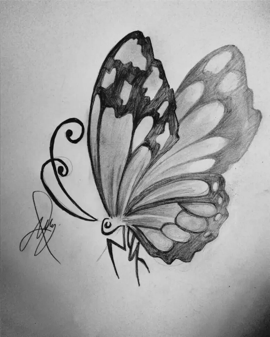 Бабочка карандашом. Бабочка рисунок карандашом. Рисование бабочки. Рисунок бабочки карандашом для срисовки. Красивые бабочки карандашом