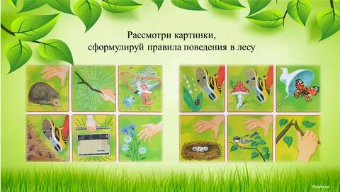 Игры про экологию