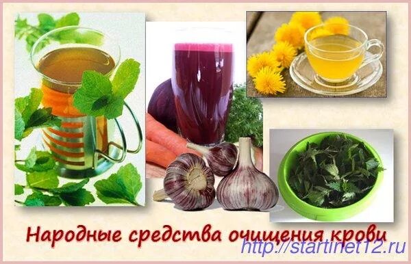 Очищение крови народными средствами. Народные средства очистки крови. Народные методы чистки крови. Народный метод очищения крови
