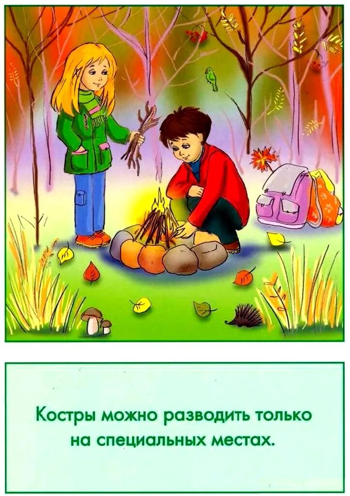 Правила поведения в природе картинки для дошкольников. Безопасное проведение на природе. Безопасное поведение на природе. Безопасность на природе для детей. Поведение на природе для детей