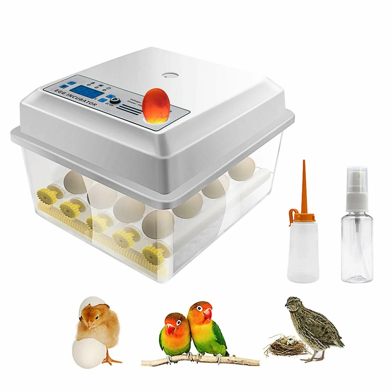 Инкубатор fully automatic egg incubator. Инкубатор 12 egg incubator. egg incubator 16 яиц. инкубатор egg incubator.