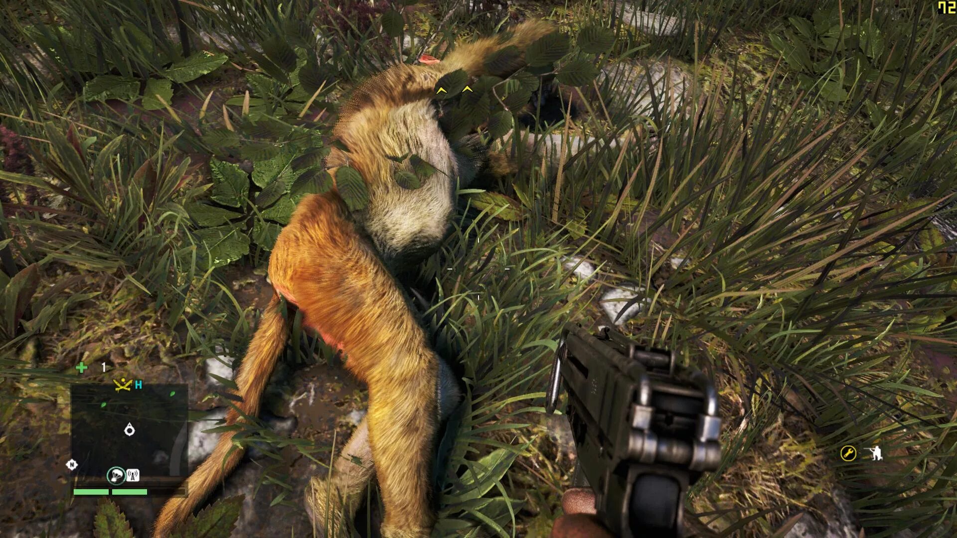 Far Cry 5 furry. Far Cry Instincts Predator. Фар край 6 пиратка по сети