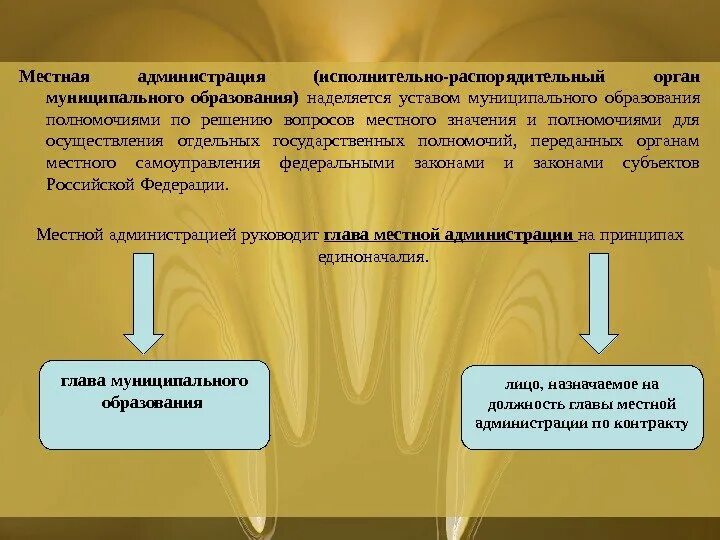 Администрация муниципального образования исполнительно распорядительный орган