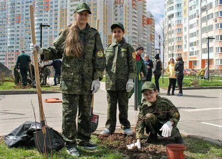 На одной аллее 12