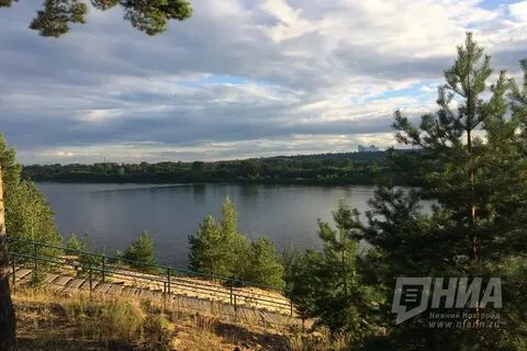 Нижний новгород моховые