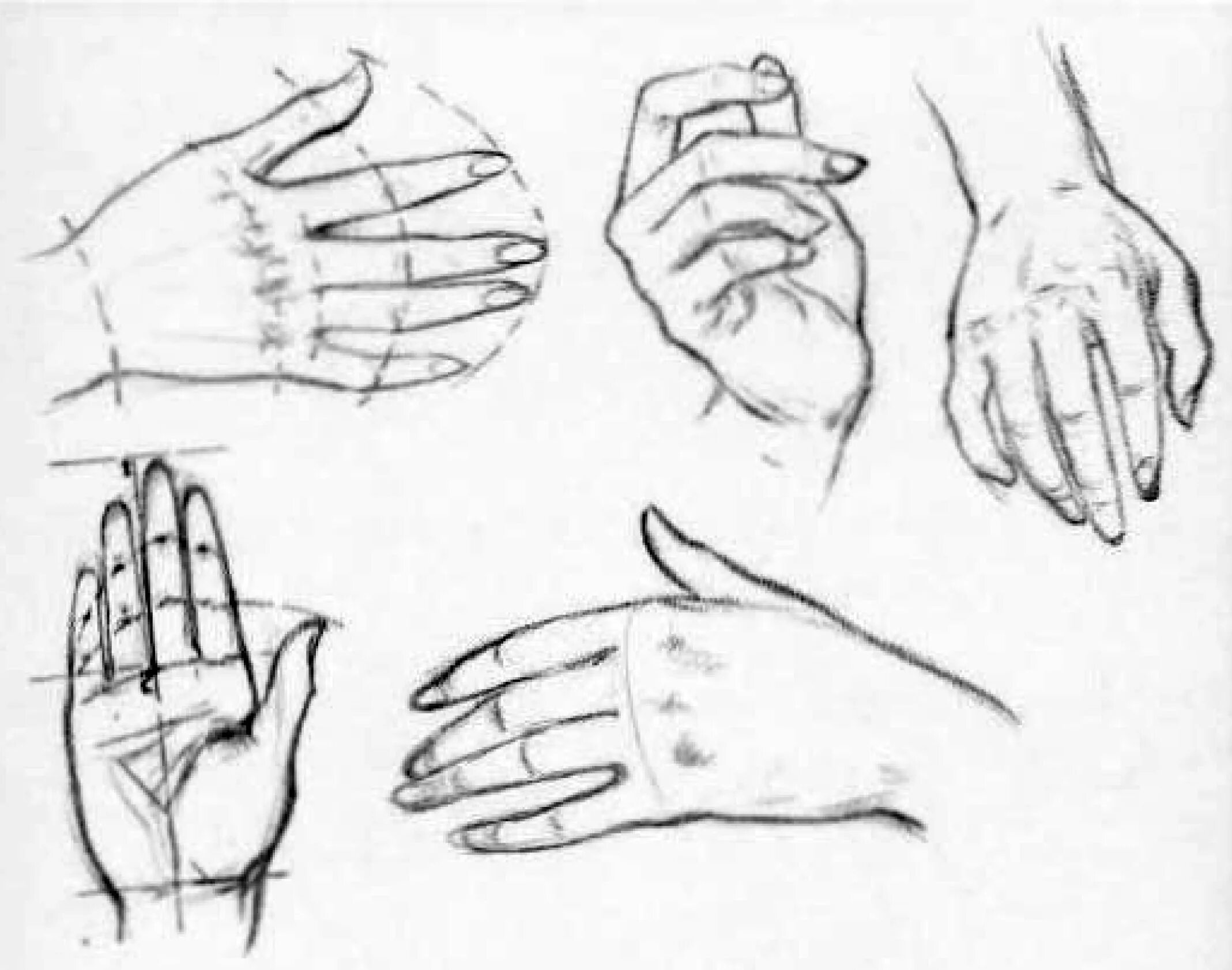 Наброски рук. Скетчи рук. Зарисовки кистей рук. Схема рисования рук.