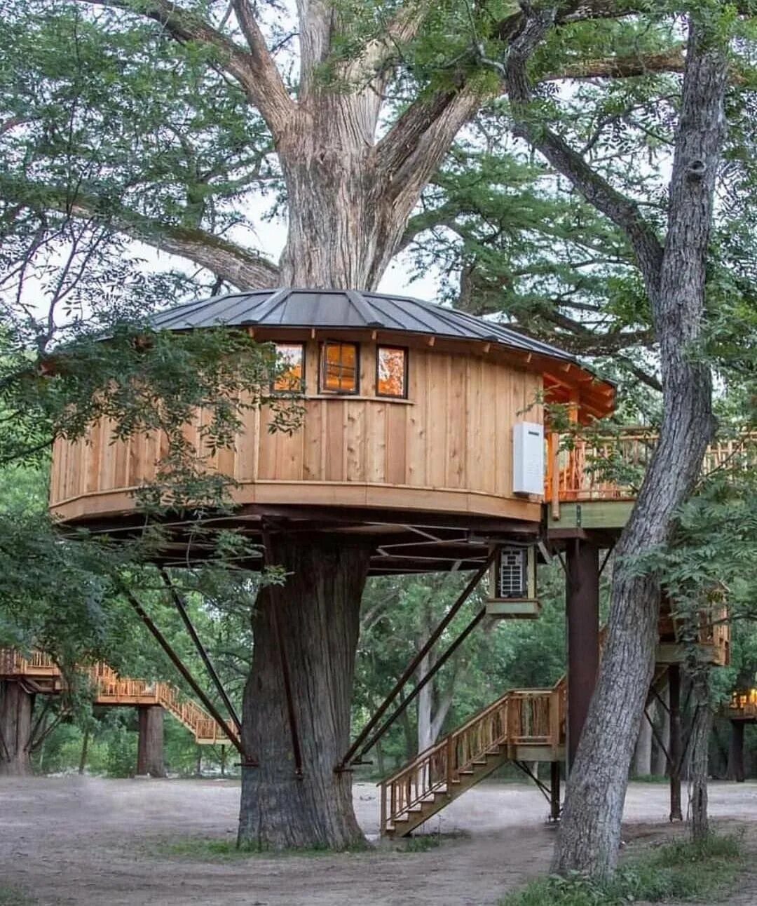 Tree house кишинев. Дом на деревьях шотландия климанрюк. Детский домик на дереве. Домики на деревьях видео. Тогатино трихаус.