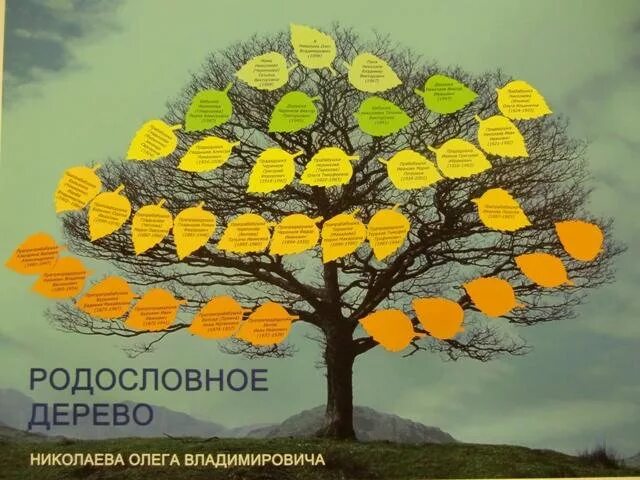 Окружающий мир 2 класс родословная проект дерево