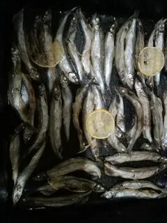Мойва рецепт с фото пошагово