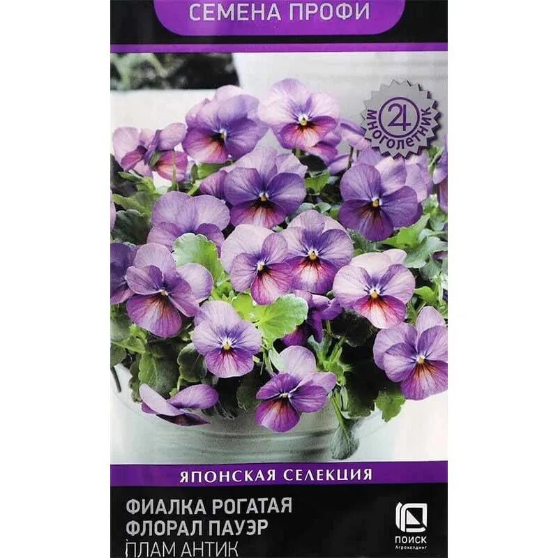 Фиалка рогатая флорал пауэр вайт роуз винг. Фиалка рогатая флорал пауэр скай блю блотч. Фиалка рогатая эдмаер ред блотч. Фиалка вайт роуз винг. Фиалка флорал пауэр.