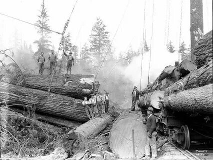 Logging time