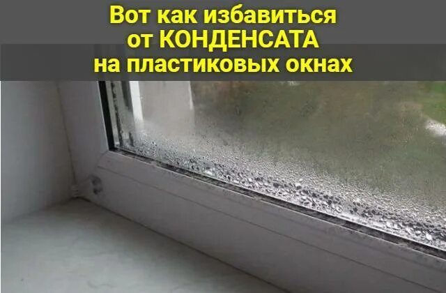 Плесень на пластике. Почему на окнах образуется. Почему на окнах образуется. Конденсат внутри стеклопакета. Промерзают пластиковые окна.
