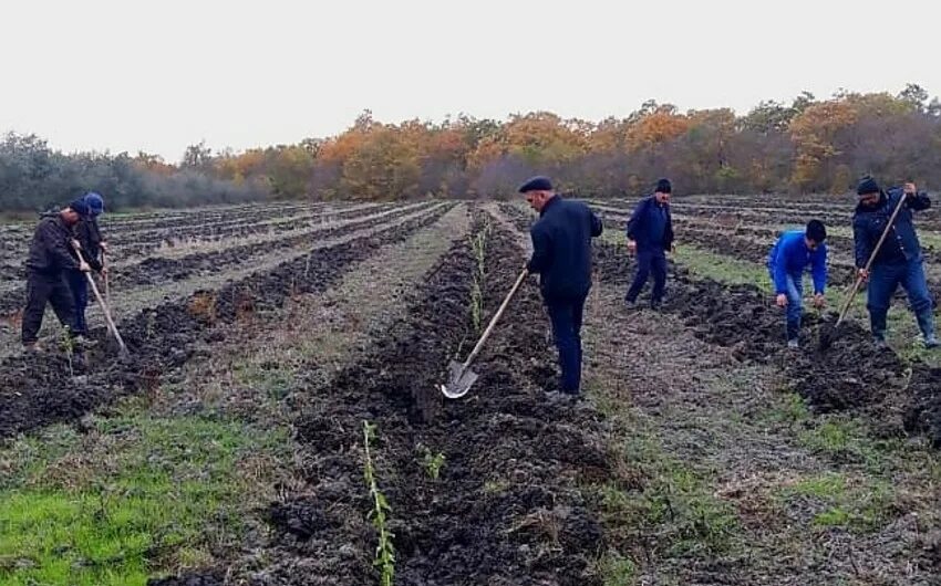 Агрофирма владеет 140 га земли 16 процентов. Агрофирма владеет 140 га земли 16 процентов