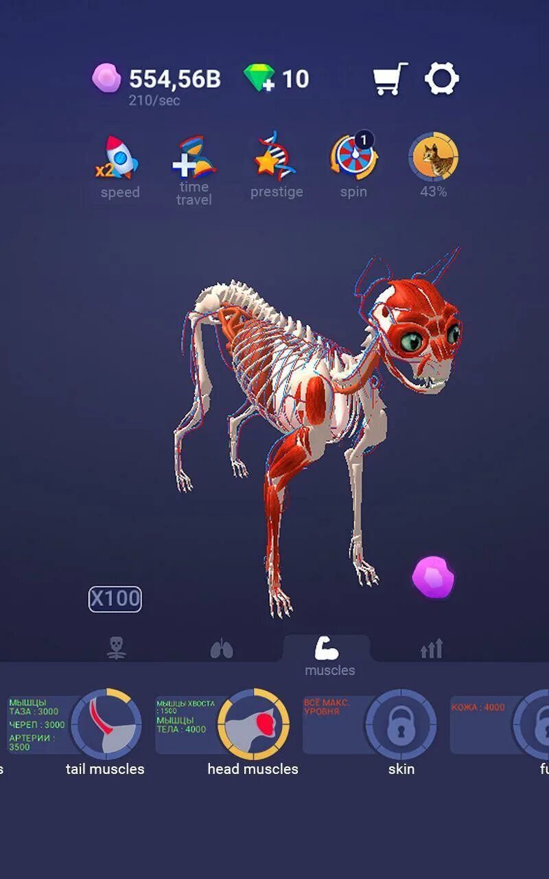 Pet создать. Pet Idle. Андроид Pet Idle. Create Pet. Компьютерная игра питомцы.