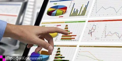 Директолог это кто и чем занимается