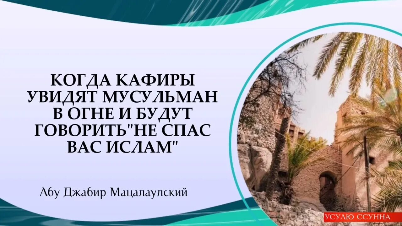 Кто такие кяфиры. Что такое шафаат в Исламе. Большие ученые Ислама Ахлю сунна. Саид-Ахмад Абу Джабир Муцалаулский. Талипжанова шафаат.