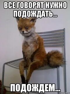 Жду мем