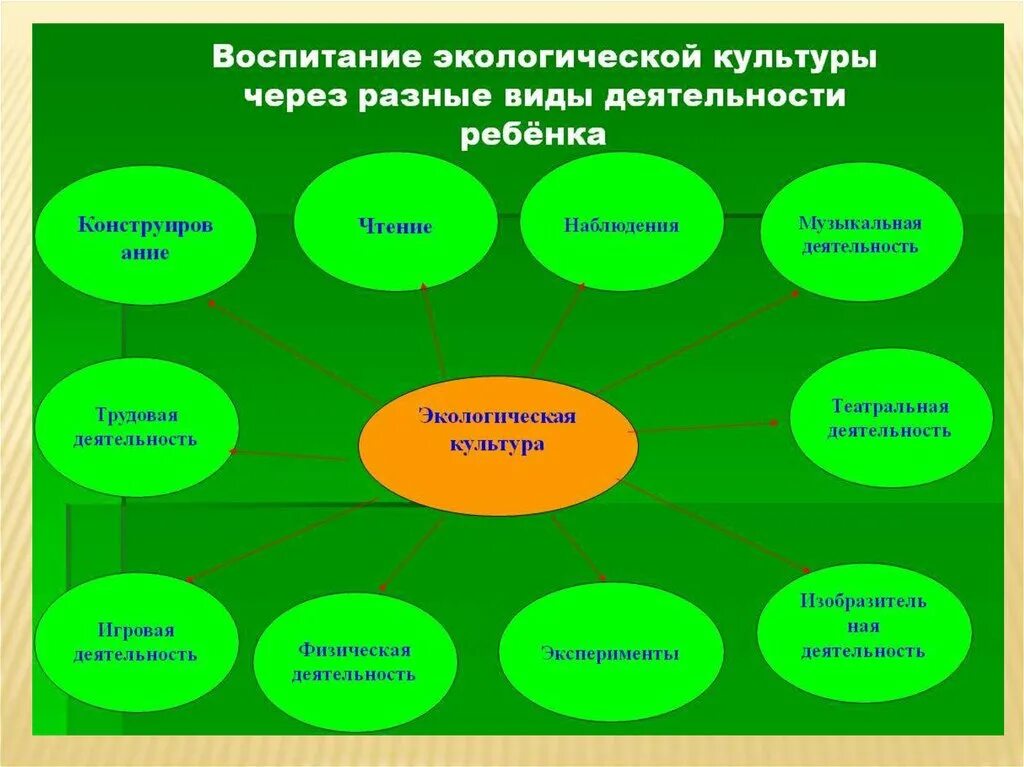 Природа образовательного процесса