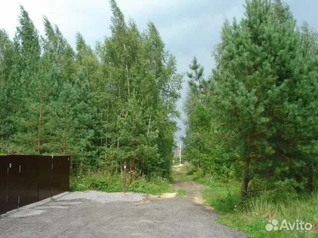 Безлюдовка белгородская область. Садоводство восход барнаул. Зелёный бор архангельская область. Снт зеленый бор. Снт зеленый бор участки.