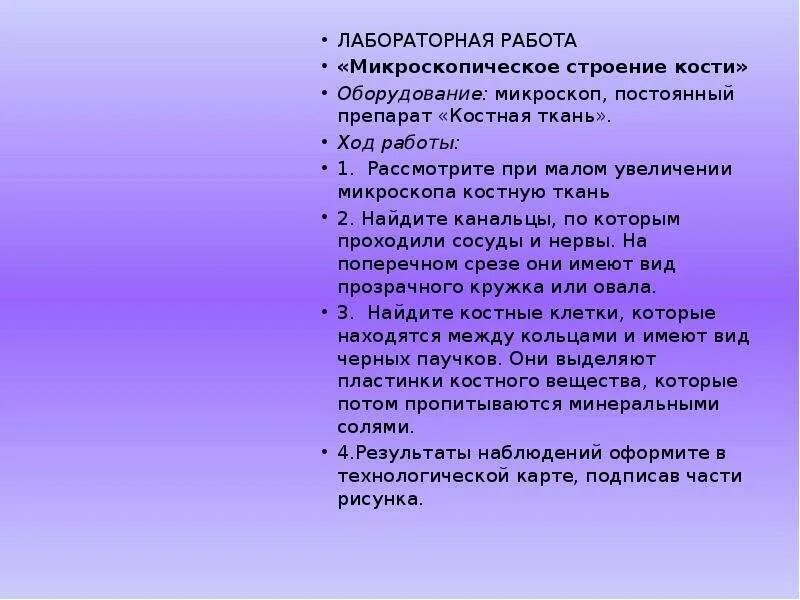 Лабораторная работа изучение строения кости. Лабораторная работа строение кости. исследование свойств кости лабораторная работа. лабораторная по биологии 8 класс микроскопическое строение кости. микроскопическое строение кости лабораторная работа.