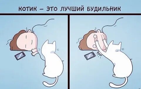 Бужу это