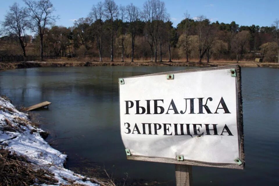 Рыбалка запрещена. Ловля рыбы запрещена. Запрет на рыбалку. Вывеска рыбалка запрещена.