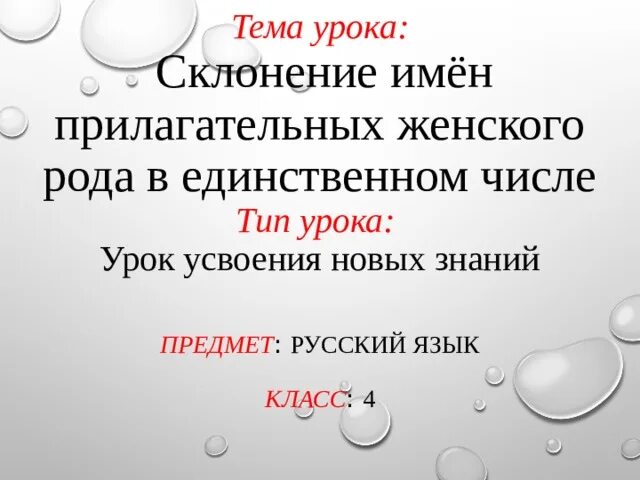 Склонение прилагательных женского рода в единственном числе. Тема урока склонение. Имена прилагательные женского рода 4 класс. Просклонять прилагательное женского рода в единственном числе.