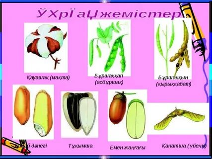 Жағажайдағы үйдегі нудист секс видеосы