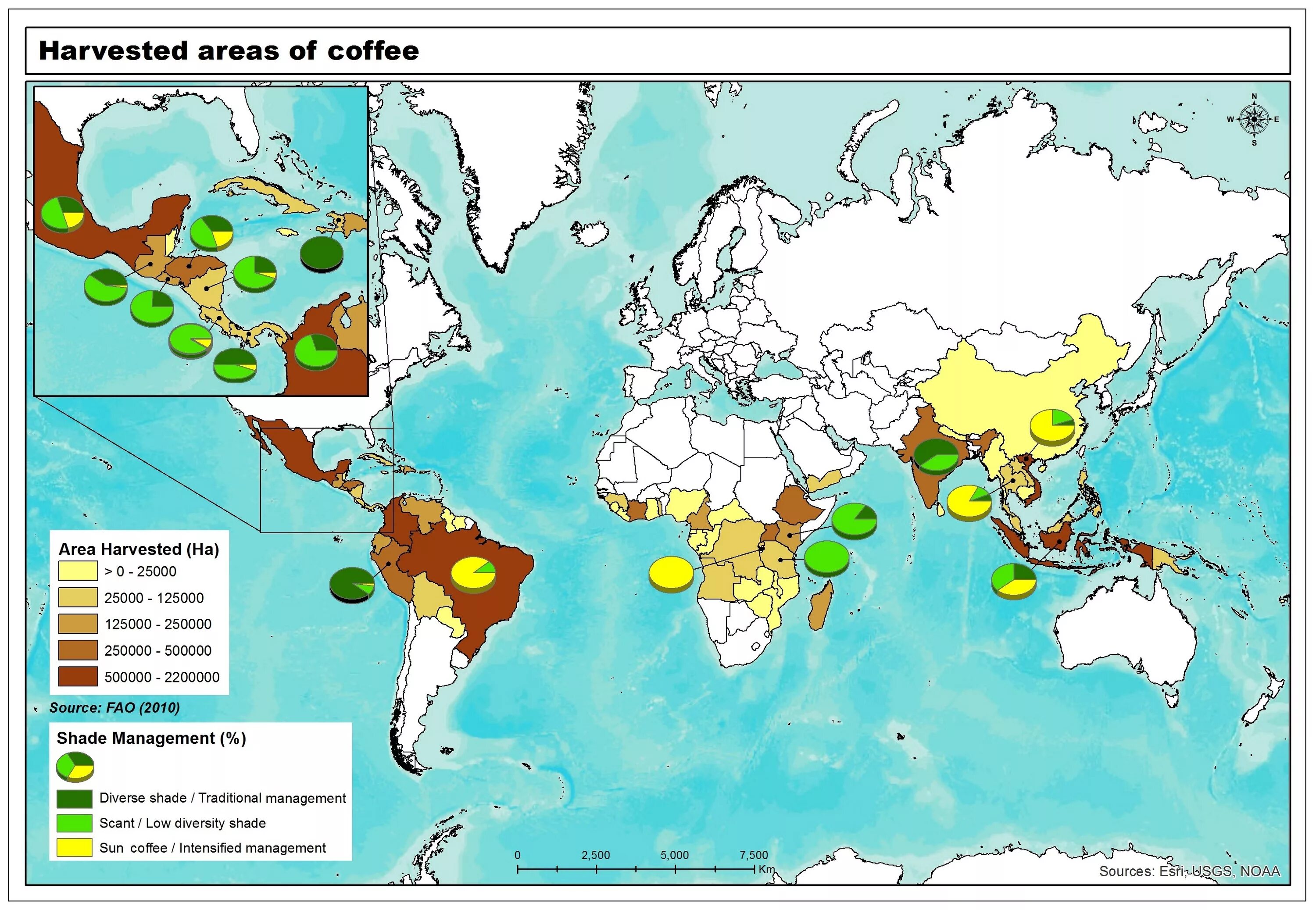 Страны произрастания кофе. Coffee grow. Where is Coffee grown. Where the Coffee grow.