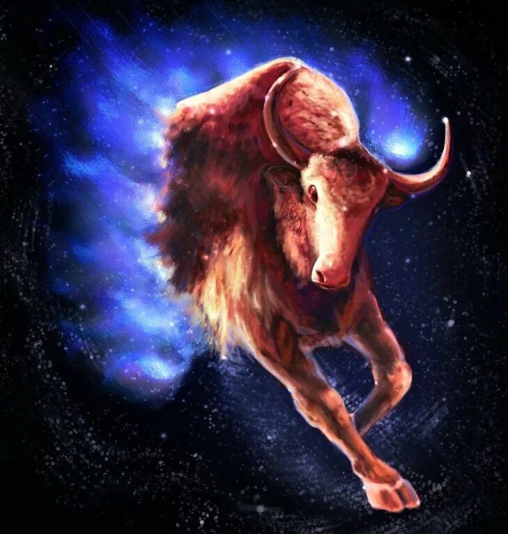 Год быка. Смешной телец. Козерог и бык. Год быка гороскоп. Гороскоп козерог бык.