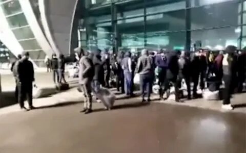 В аэропорту домодедово мигрантов ведут на депортацию