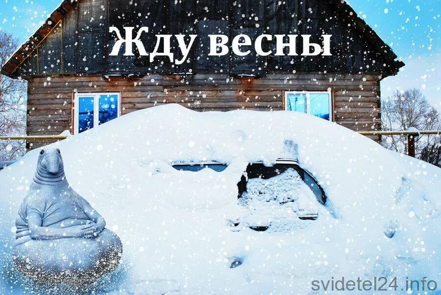 Жду весну. Ждун зима. Я жду весну. Когда ждать весну в 2024