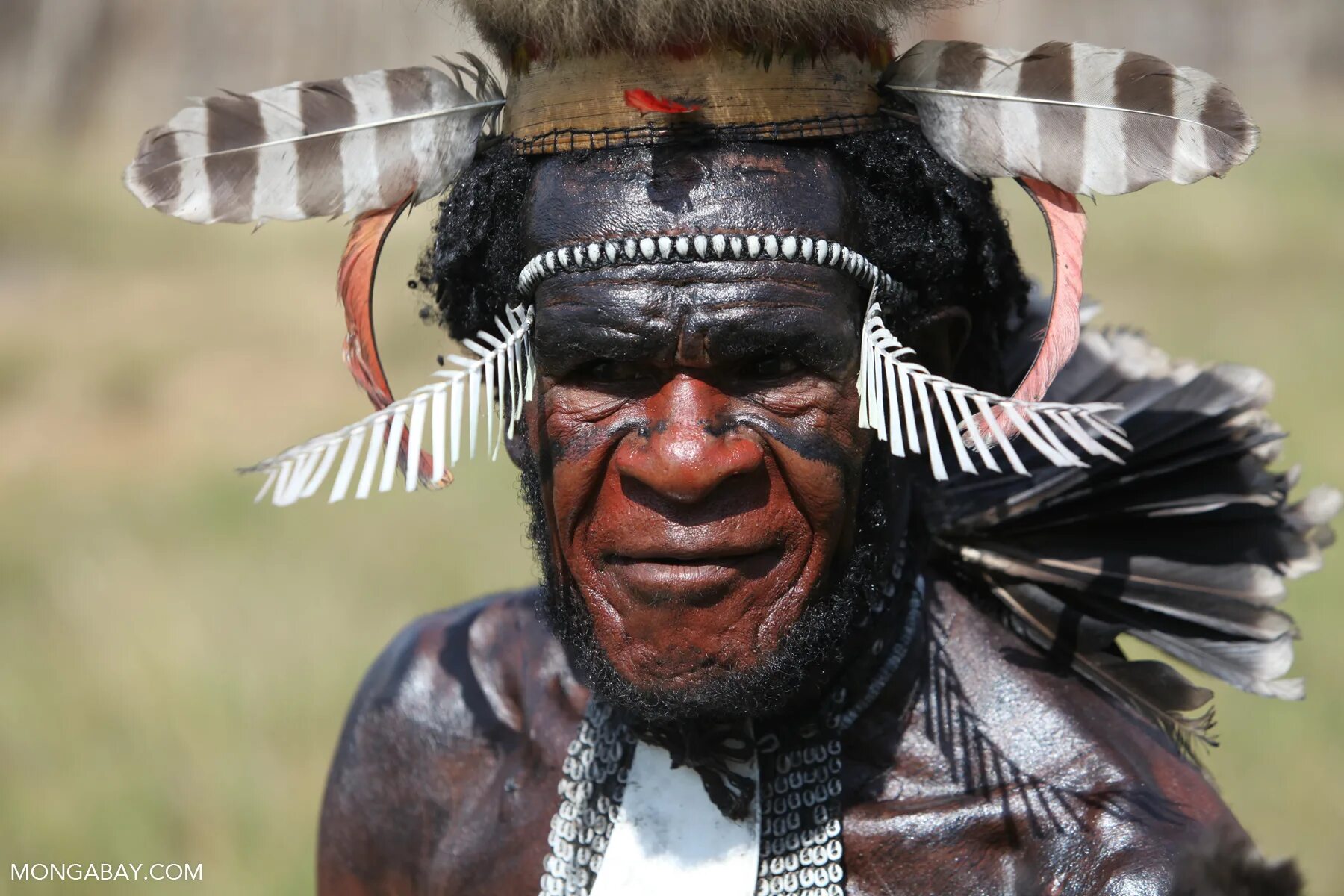 Племя дани новая гвинея. Племя дани новая гвинея. Дани народы. Дани народы. Дани народы.