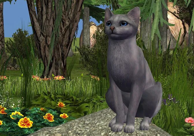 Warrior cats игры. Warrior Cats игра. Симс коты Воители. Коты Воители игра. Коты Воители игра 3д.