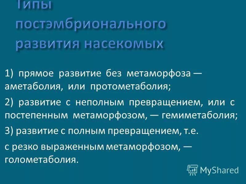 развитие без превращения.