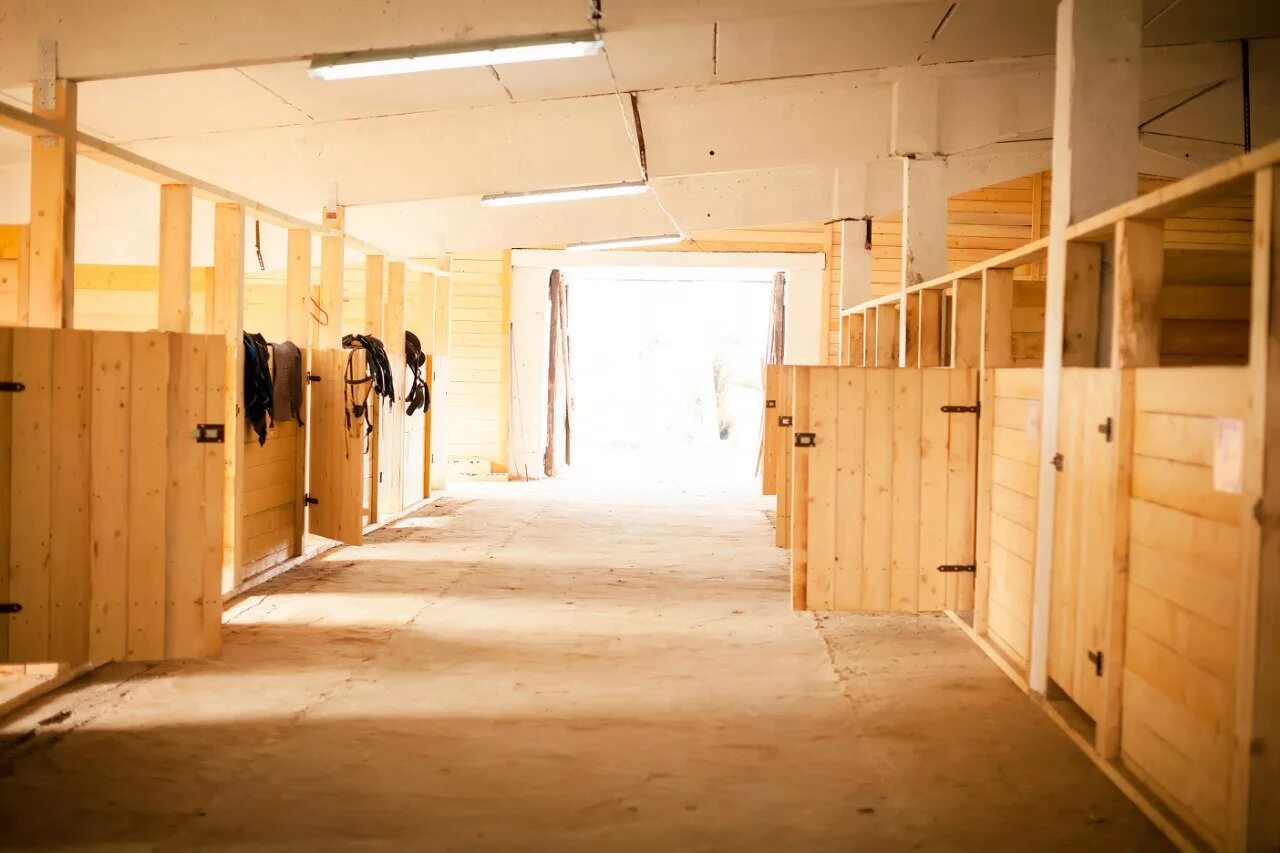 Денники в конюшне. Стк магистраль денники. Конюшня антонио бандераса. Комнаты кск. Кск атлас парк постой.