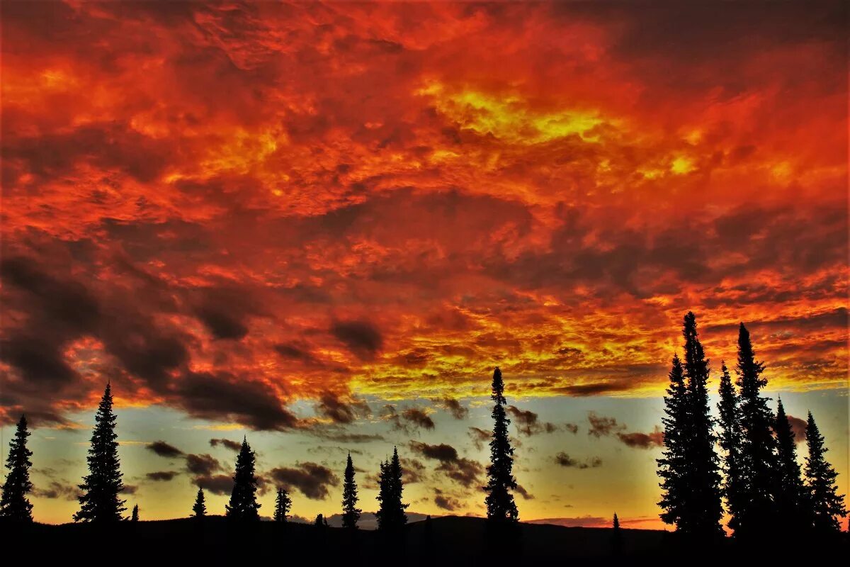 Поиск тирана. Огненный закат. Горящие небеса как пройти. Огненное небо. По локации.