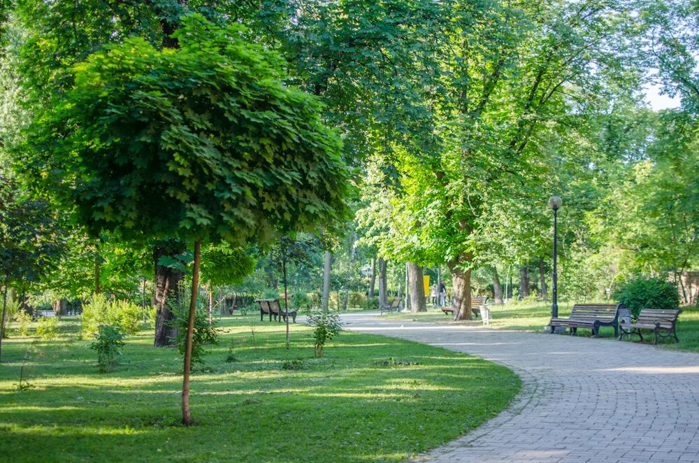 Зеленая территория краснодар. Улицы екатеринбурга озеленение. Парки скверы бульвары. Эксплуатируемая кровля с озеленением. Озеленение территории.