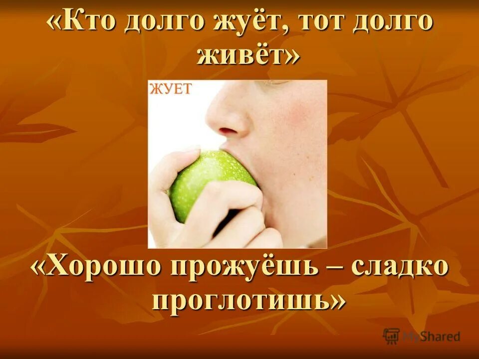кто хорошо жует тот долго живет. кто долго жует тот долго живет доказать. пословицы о еде с объяснением. золотое правило питания. кто долго жует тот долго живет доказать.