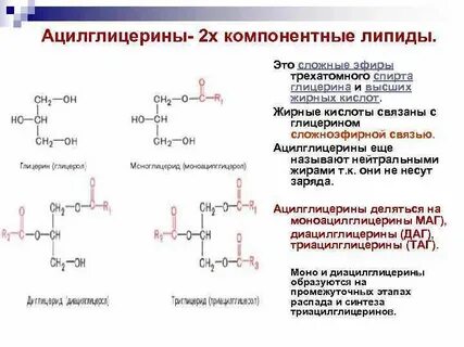 Химические соединения липидов