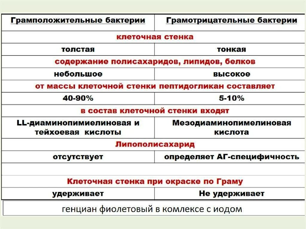 Что отличает строение. Различия в структуре грамположительных и грамотрицательных бактерий. Отличия грамположительных и грамотрицательных бактерий таблица. Отличия строения клеточной стенки грамотрицательных бактерий. Клеточная стенка грамположительных и грамотрицательных бактерий.