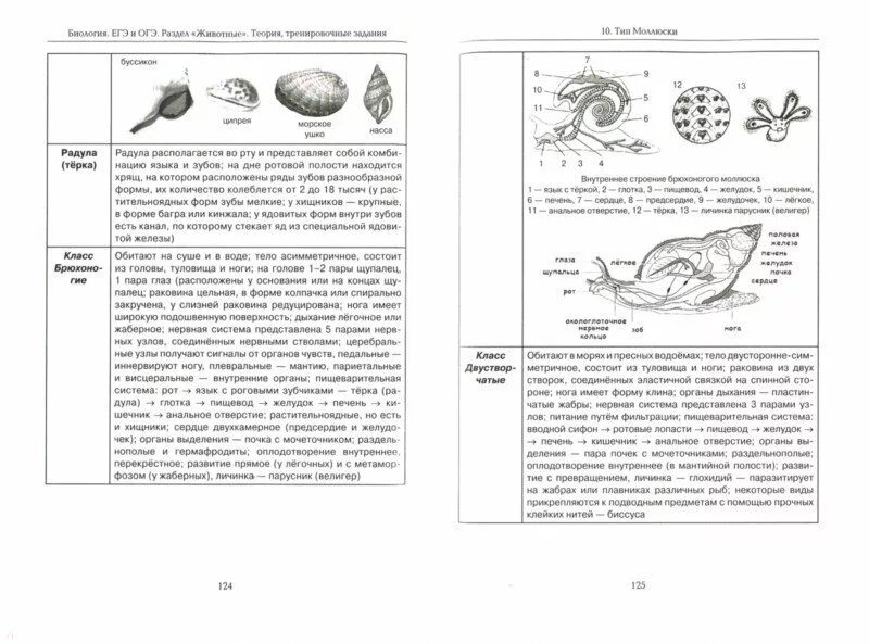 Теория первого задания ОГЭ биология. Подготовка к ОГЭ по биологии 9 класс анатомия. Схемы и таблицы по биологии для подготовки к ОГЭ. Огэ биология пособия