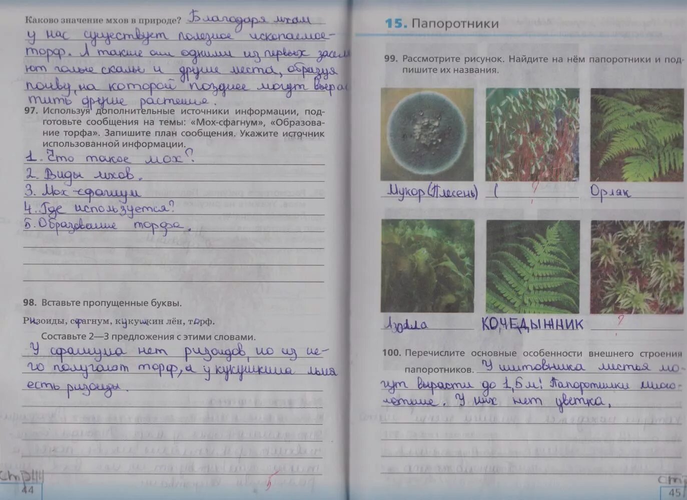Биология выполнить задание. Биология рабочая тетрадь 5 класс стр 44. биология сонин 5 класс рабочая тетрадь задания. гдз биология 5 класс стр 45 рабочая тетрадь. рабочая тетрадь по биология 5 класс плешаков сонин 45 стр.