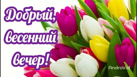 Добрый вечер весны видео