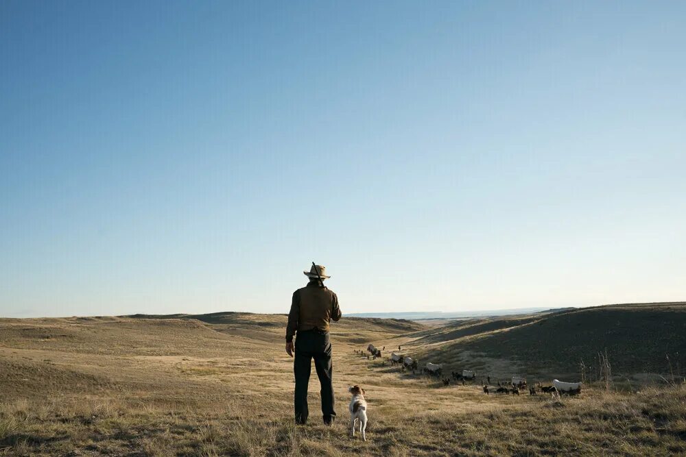 баллада бастера скраггса 2018. джеймс франко баллада бастера. фильм братьев коэнов баллада бастера скраггса. баллада бастера скраггса без рекламы. баллада бастера скраггса постер.