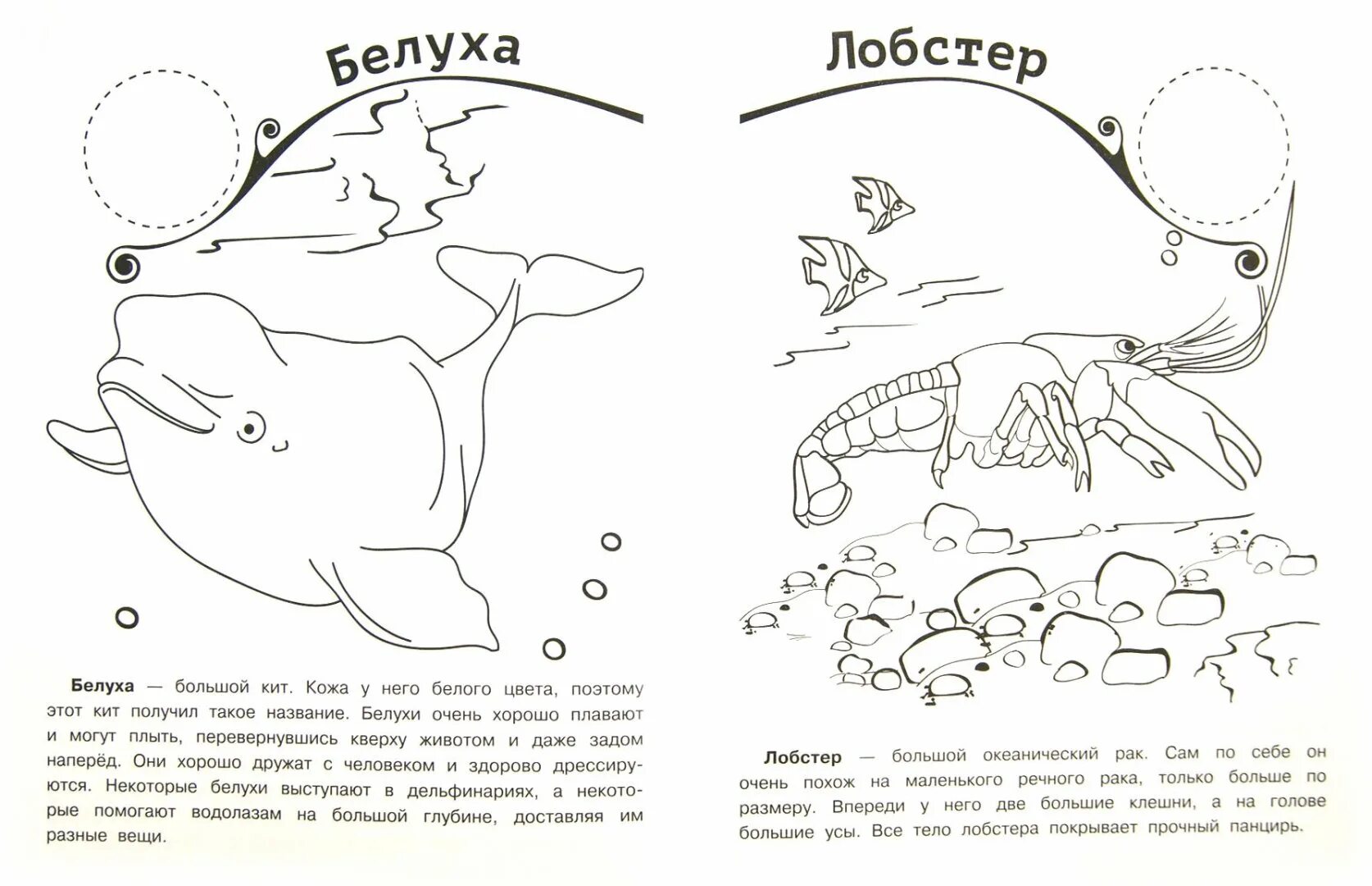 Обитатели океана конспект. Морские обитатели задания для детей. Животные морей и океанов задания для дошкольников. Морские обитатели раскраска для детей. Обитатели моря задания для дошкольников.