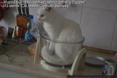 Сейчас полезет