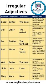 Superlative sentences examples